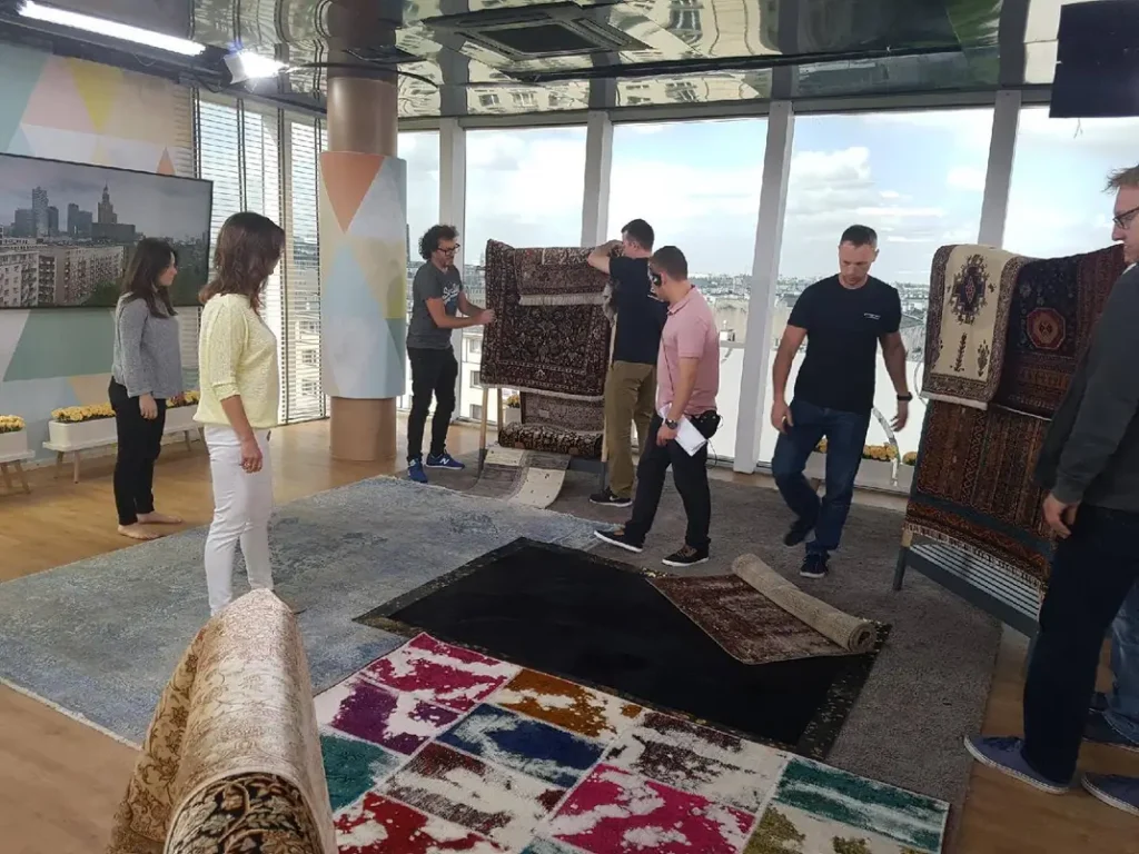 dywany wynajem DD TVN